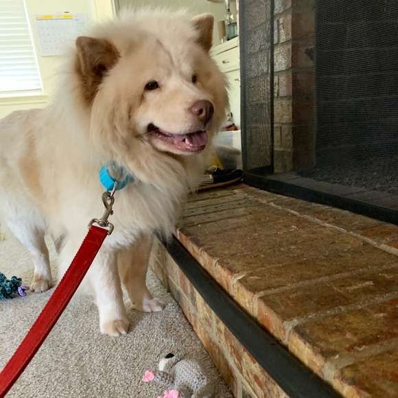 Meet your Posher, Emily - Picture 7 of 16